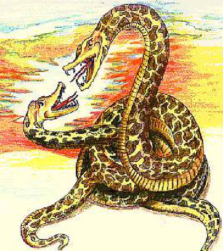 Anacondas [Illustrations by Amarjeet Malik]