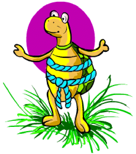 High-tech Turtle [Illustration by Anup Singh]