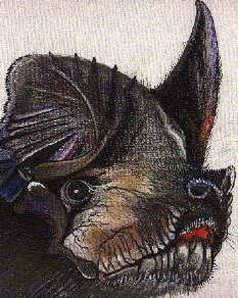 The Truth About Bats [Illustrations by Amarjeet Malik]