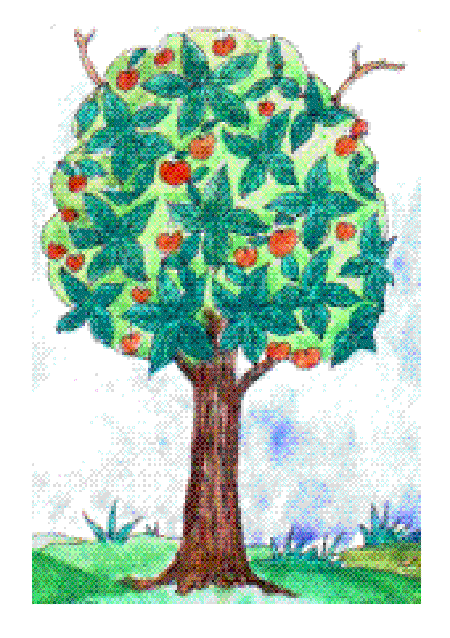 Seasons in a Tree’s Rooted Life [Illustrations by Kusum Chamoli]