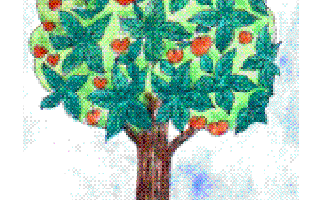 Seasons in a Tree’s Rooted Life