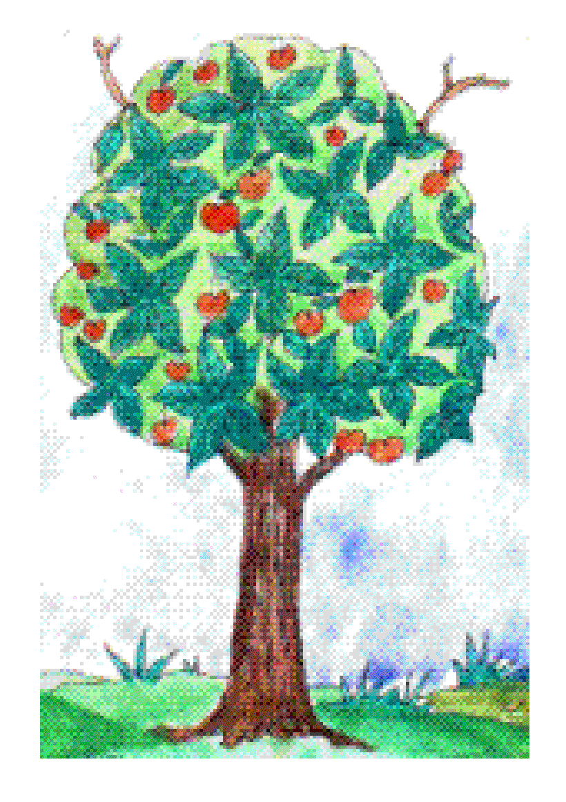 Seasons in a Tree’s Rooted Life [Illustrations by Kusum Chamoli]