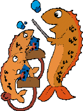Chatterbox Fish