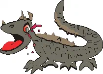 A lizard that squirts blood from its eyes [Illustration by Shridevi]