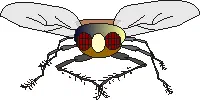 Mr Fly Rubs his Hands with Glee [Illustration by Shridevi]