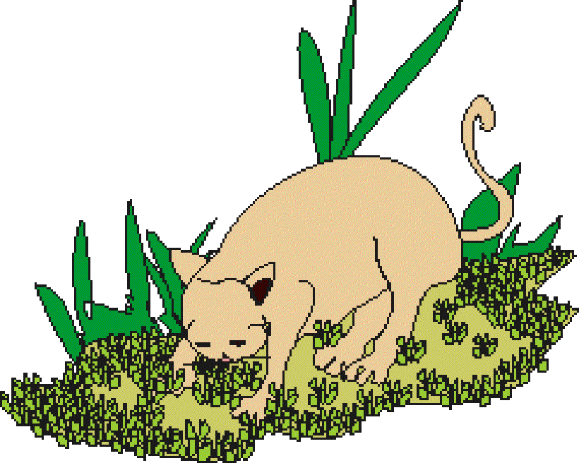A dog eating grass