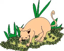 A dog eating grass