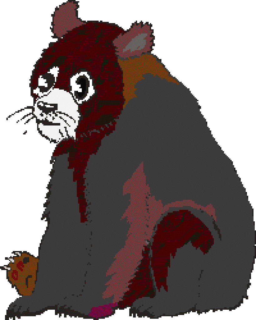 The spectacled bear [Illustration by Shridevi]