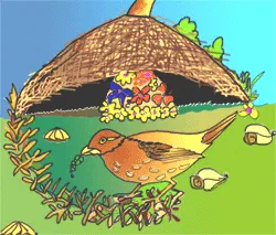 The Gardener Bird [Illustration by Shridevi R.]