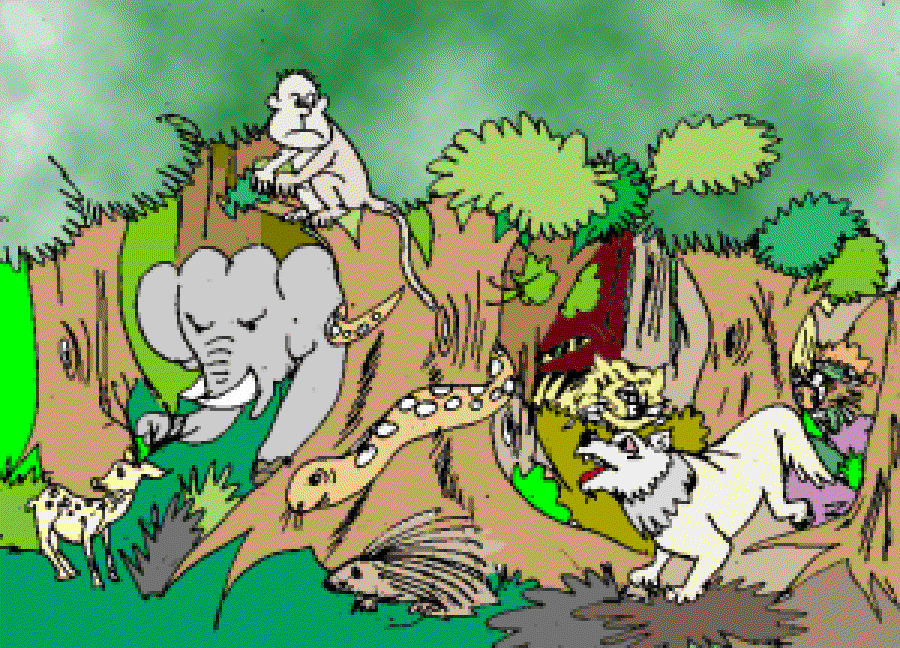 The Magical Rainforest [Illustration by Sudheer Nath]