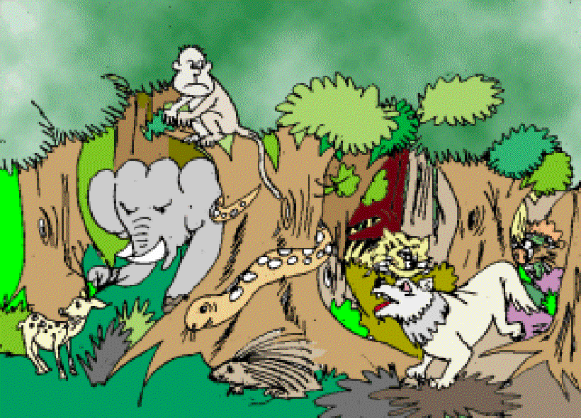 The Magical Rainforest [Illustration by Sudheer Nath]