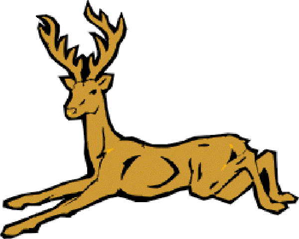 Antlers: A Deer Story