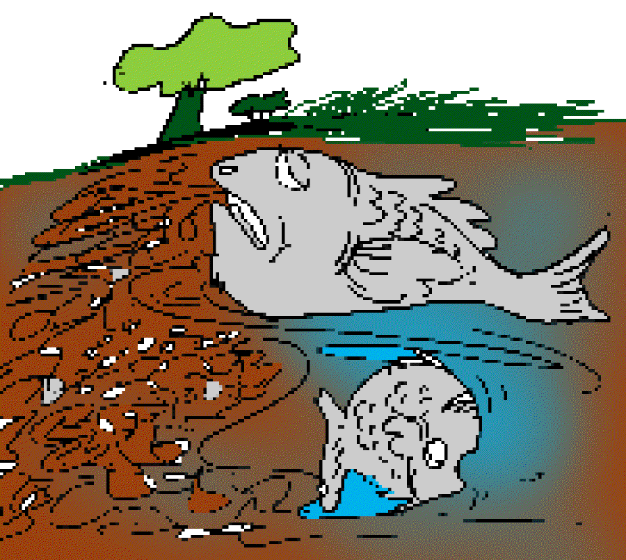 Dangerous Red Tide in HongKong [Illustration by Sudheer Nath]