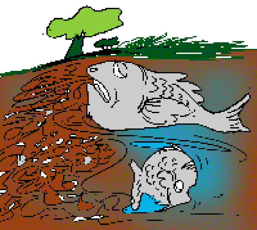 Dangerous Red Tide in HongKong [Illustration by Sudheer Nath]