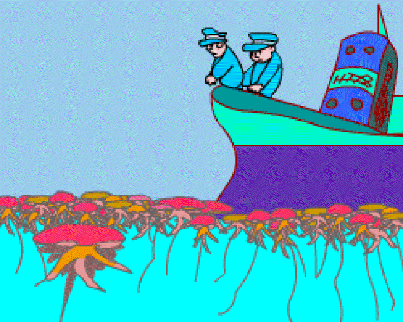 Fragile Creature of the Sea [Illustration by Sudheer Nath]