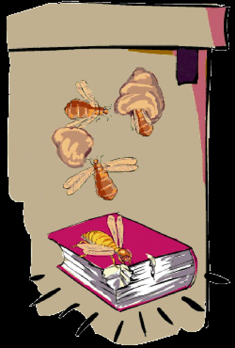 Paris is Bugged! [Illustration by Shiju George]