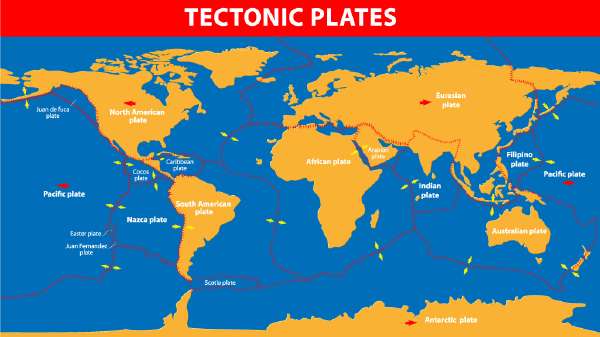 The tectonic plates of the world were mapped in the second half of the 20th century.