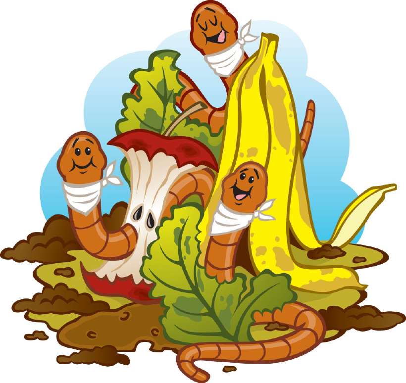 Earthworms busy decomposing (recycling) waste