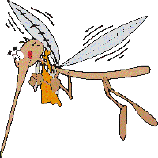Peppermint to Chase Mosquitoes Away