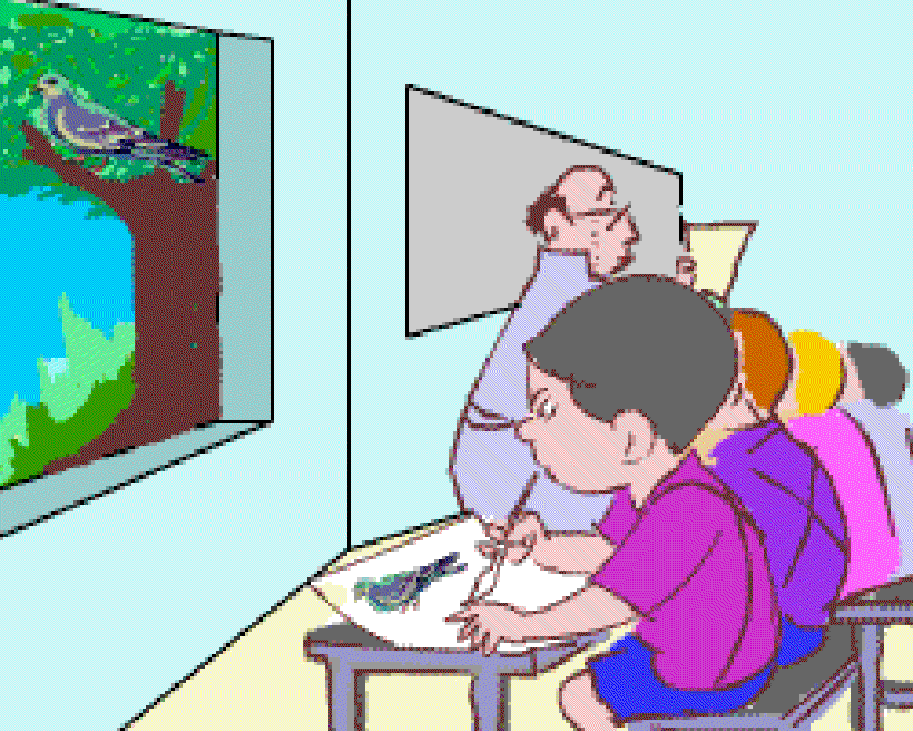 Pablo the Pigeon Painter [Illustration by Sudheer Nath]