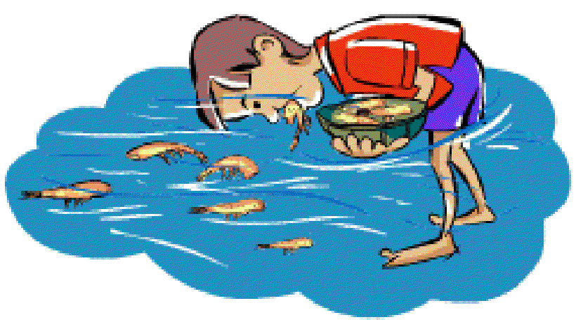 Prabhu and the Prawns [Illustration by Anup Singh]