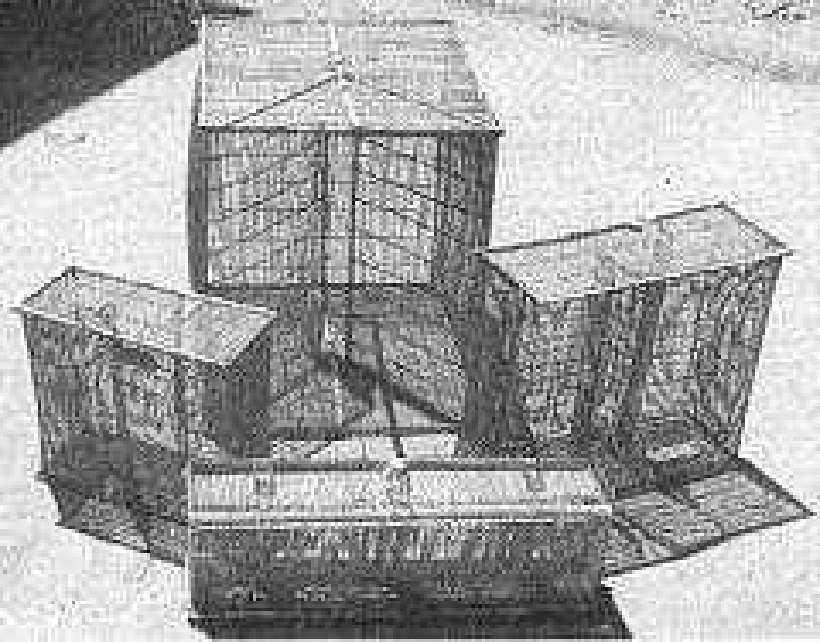 Basket-making in India [Illustrations by Amarjeet Malik]