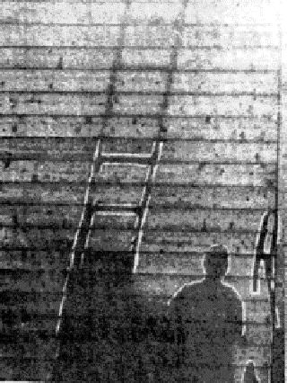 The Day the Bomb Fell