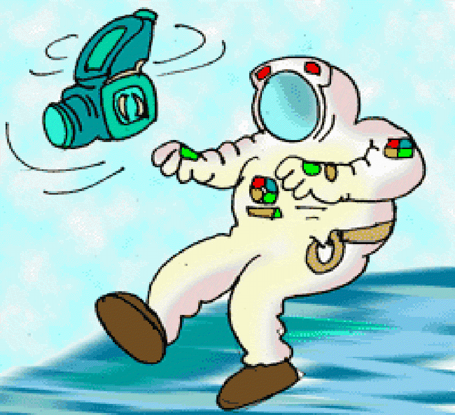 Celebrity Camera