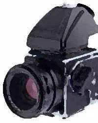 Celebrity Camera []