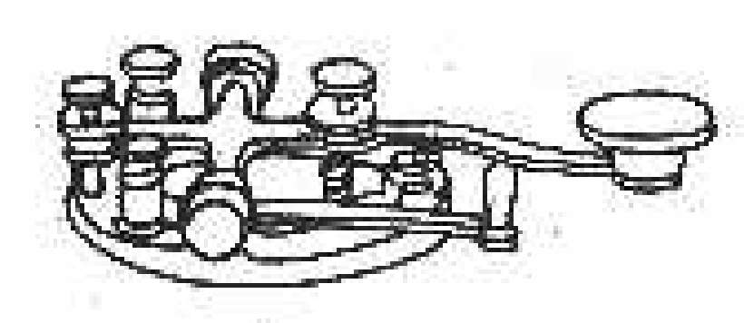 The Telegraph [Illustrations by Ahmed]