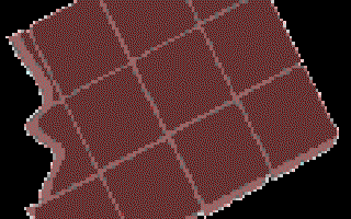 The Bittersweet Story of Chocolate