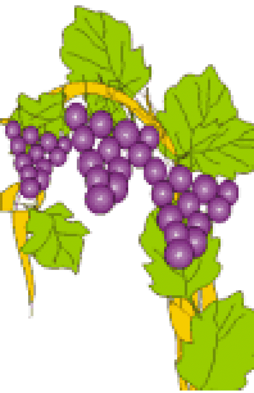 The Fox and the Grapes [Illustrations by Shridevi]