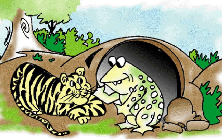 A Frog's Friendship