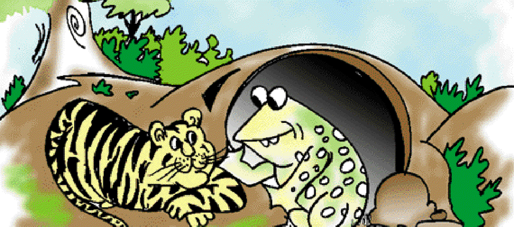 A Frog's Friendship