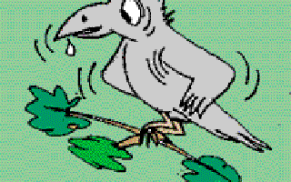 Kallu Raven's Breakfast Treat