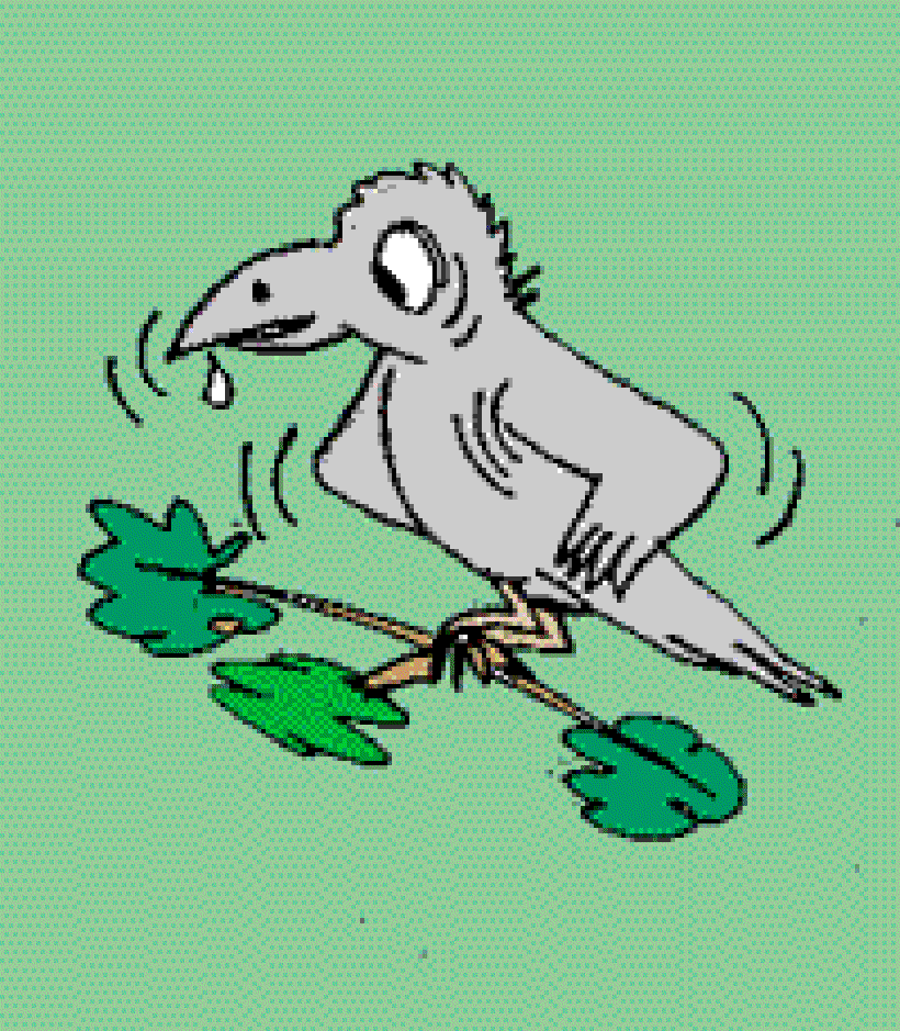 Kallu Raven's Breakfast Treat [Illustrations by Sudheer Nath]