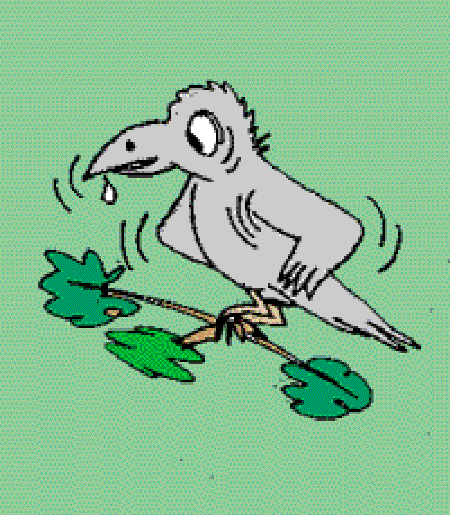 Kallu Raven's Breakfast Treat [Illustrations by Sudheer Nath]
