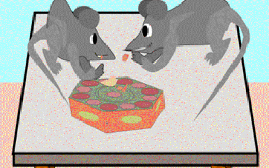 Town Mouse and Country Mouse