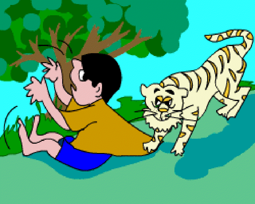 Stripes Tiger and the Boy [Illustrations by Sudheer Nath]