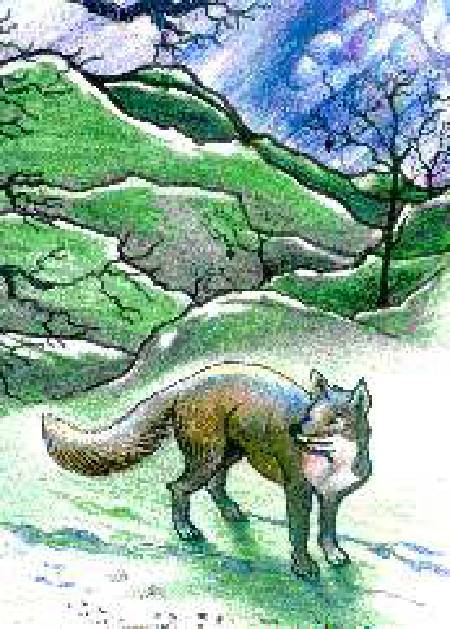 War Drum [Illustrations by Amarjeet Malik]