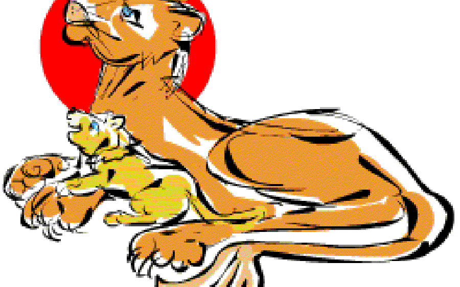 The Lion Cub