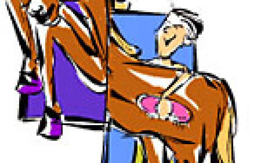 The 'Groom'ed Horse