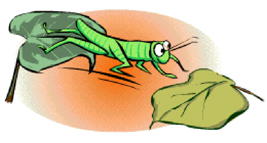 Preparing for Winter [Illustration by Anup Singh]