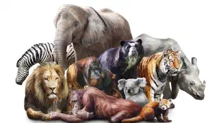 Illustration for The Truth about Zoos