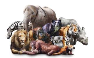 The Truth about Zoos