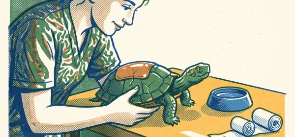 Illustration for High-tech Turtle