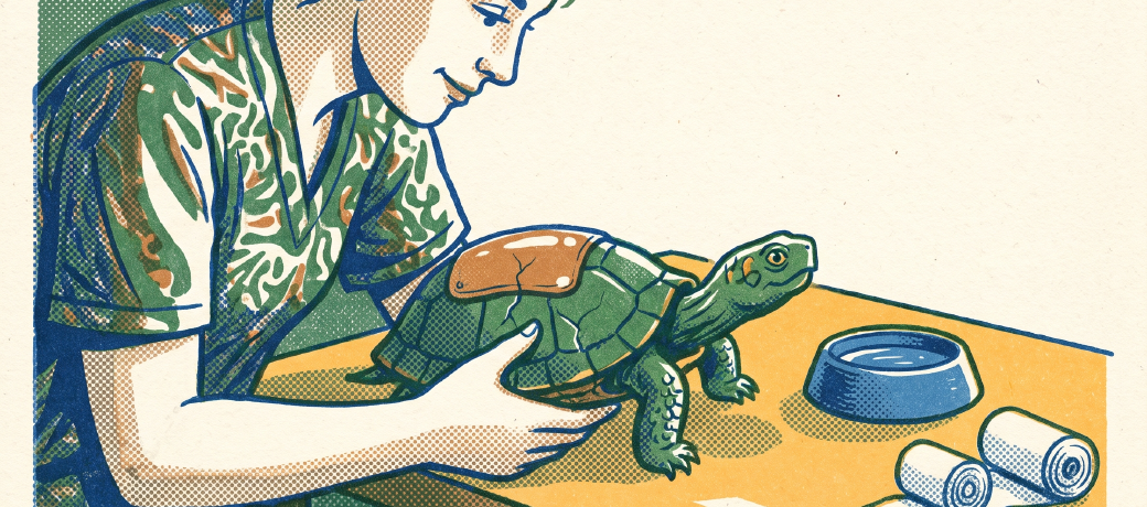 Illustration for High-tech Turtle