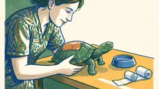Illustration for High-tech Turtle