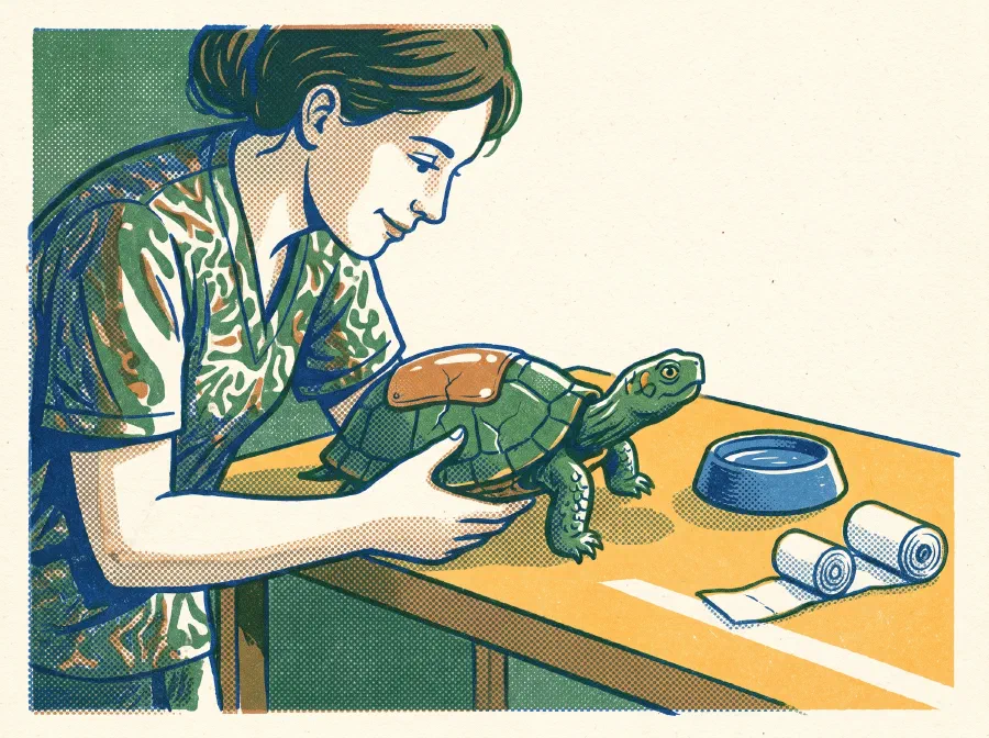 High-tech Turtle
