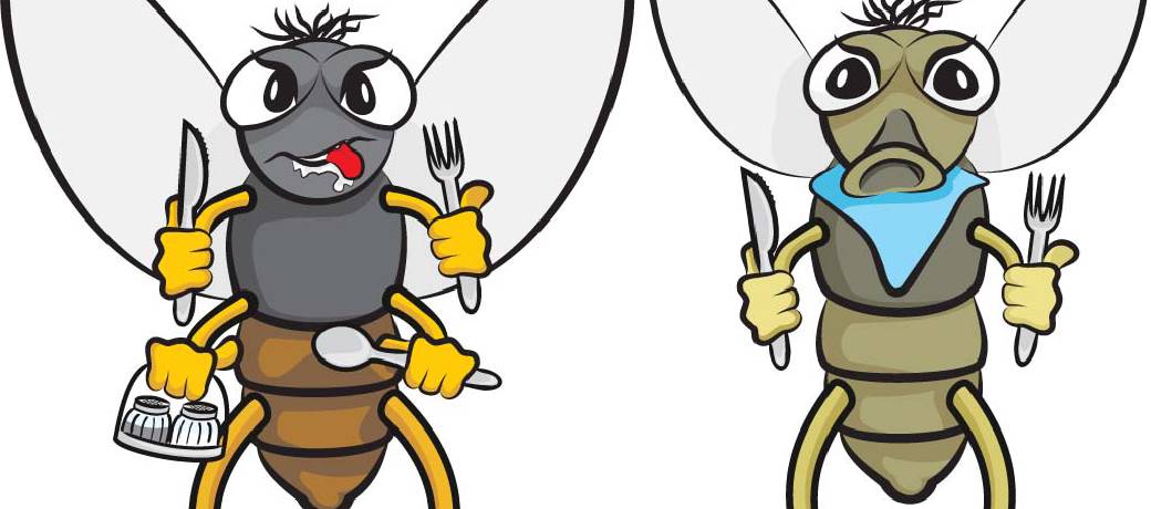 How do Houseflies Spread Diseases?